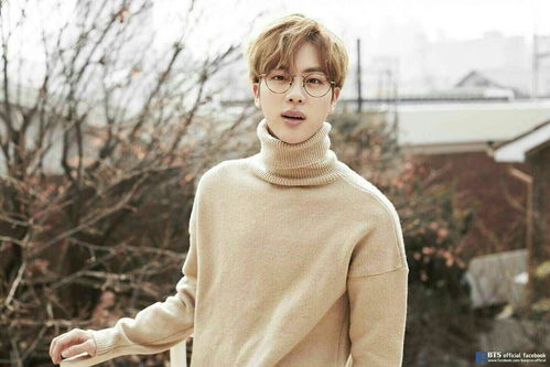 金碩珍對防彈少年團有什么貢獻