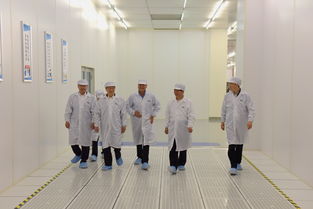 陳清泰調研長江存儲與武漢新芯，共話中國芯片產業發展